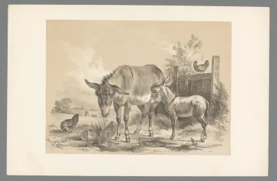 Ezel met jong en kippen