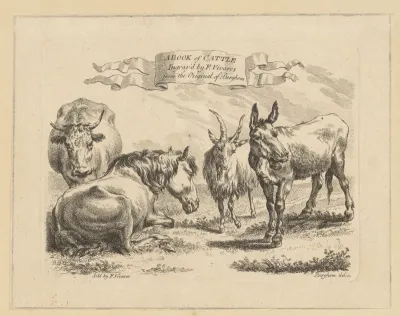 Ezel, os, geit en een paard
