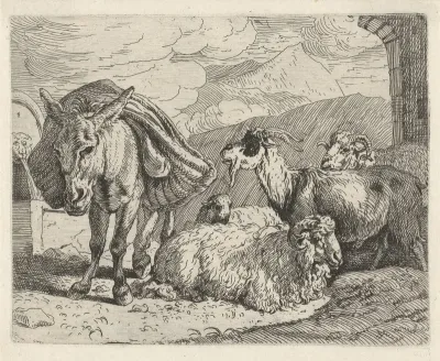 Ezel, schapen en een geit