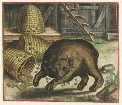 Fabel van de beer en de bijen