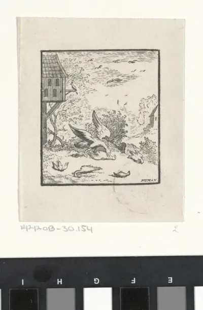 Fabel van de duiven en de havikken uit de Aesopus fabelen