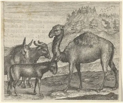 Fabel van de ezel, de buffel de kameel en het muildier