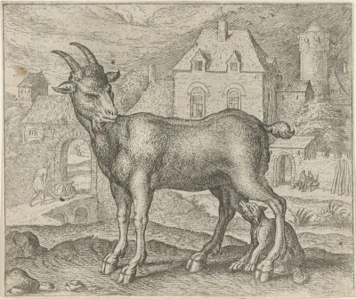 Fabel van de geit en de jonge wolf