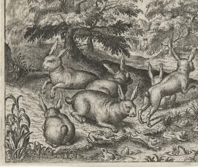 Fabel van de hazen en de kikkers