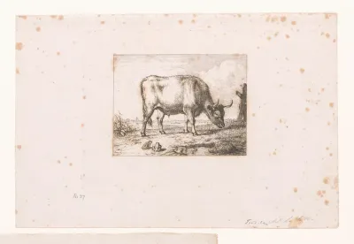 Fabel van de kikker die zo groot als een koe wilde zijn