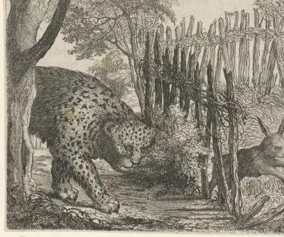 Fabel van de luipaard en de haas