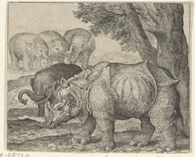 Fabel van de neushoorn en de olifanten