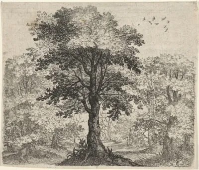 Fabel van de olm en de eik
