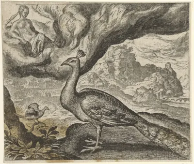 Fabel van de pauw en de nachtegaal