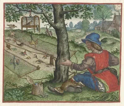 Fabel van de vogelaar