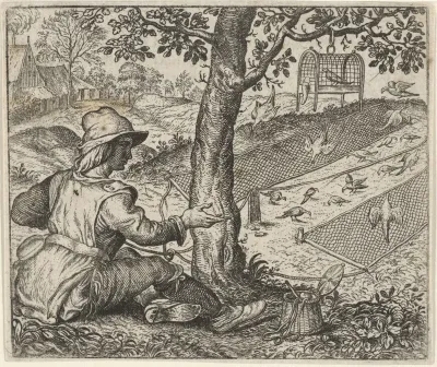 Fabel van de vogelaar