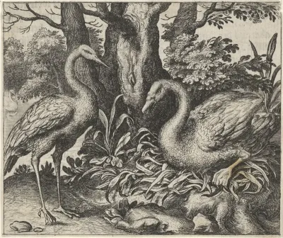 Fabel van de zwaan en de ooievaar