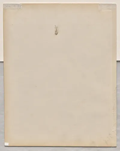 Face in Profile (verso)