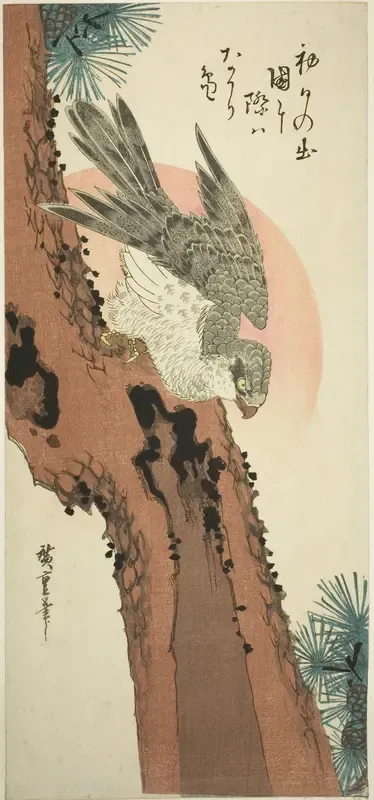 Falcon on a Pine Tree with the Rising Sun