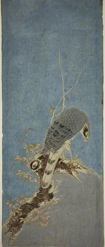 Falcon Perched on a Tree