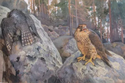 Falcons in the Forest
