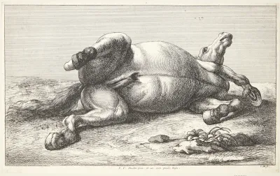 Falden hest