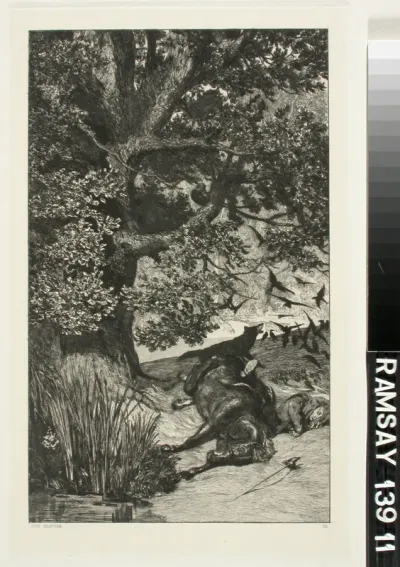 Fallen Rider