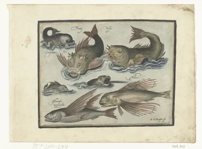 Fantastische waterdieren, onder andere dolfijn en pitvis
