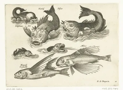 Fantastische waterdieren, onder andere dolfijn en pitvis