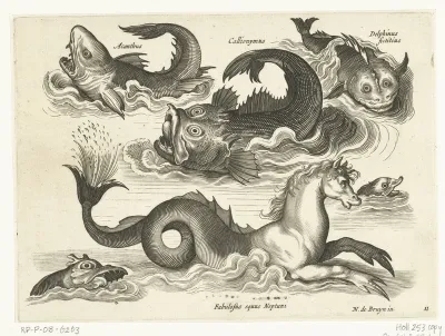 Fantastische waterdieren, onder andere zeepaard