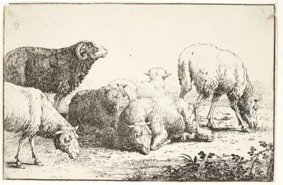 Får