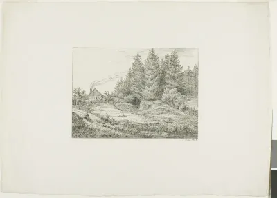 Farmhouse in an Evergreen Forest
