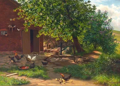 Farmyard with a cat and some hens.