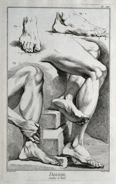 Feet and legs. Engraving by B.L. Prevost after E. Bouchardon