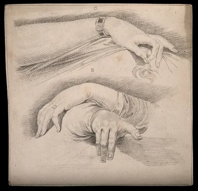 Female and male hands (above and below respectively)