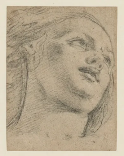 Female Head Study Looking Up to Right (recto); Study of Two Figures Supporting an Object (verso)