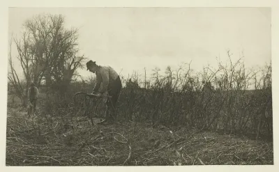Fencing in Suffolk