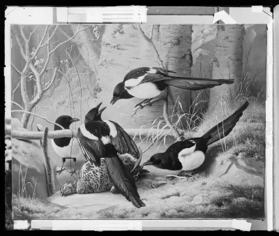 Ferdinand von Wright: "Harakoita kuolleen koppelon ympärillä" vuodelta 1867