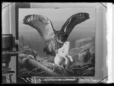 Ferdinand von Wright: "Huuhkaja iskee jänikseen" vuodelta 1860