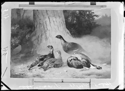 Ferdinand von Wright: "Teeriä" vuodelta 1883
