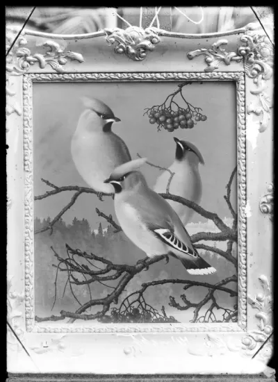 Ferdinand von Wright: "Tilhiä", ajoitus n. 1890-luku