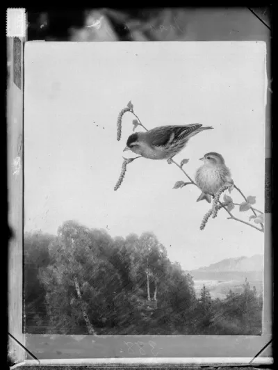 Ferdinand von Wright: "Urpiaisia", ajoitus n. 1890-luku