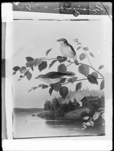Ferdinand von Wright: "Uunilintuja" n. vuodelta 1890
