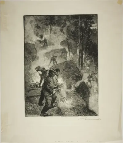 Fern Burners in the Forest