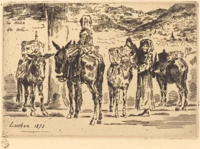 Feuilles d'Anes du Midi (Sheet of Donkeys from the South)