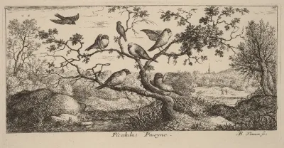 Ficedula, The Bullfinch