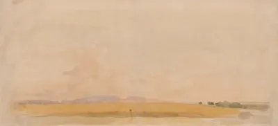Field