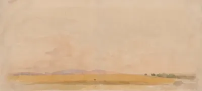 Field