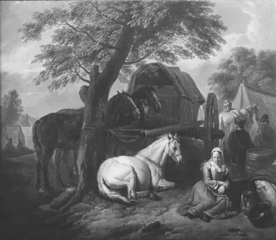 Field Camp