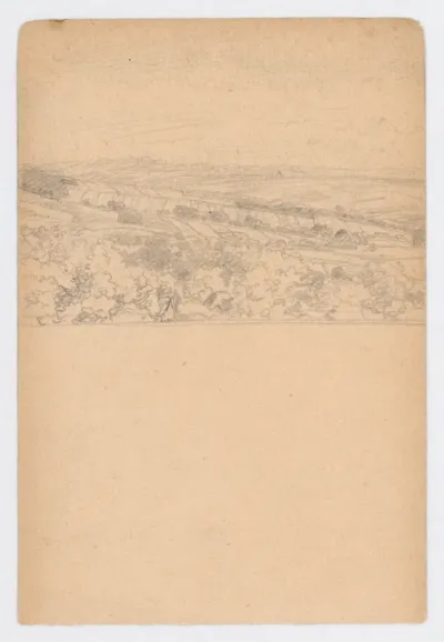 Fields