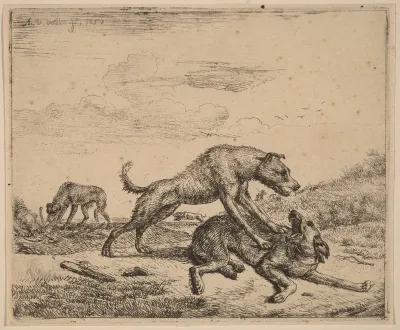 Fighting Dogs