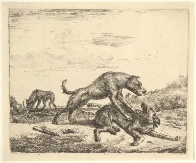 Fighting Dogs, plate 9 from "Different Animals"