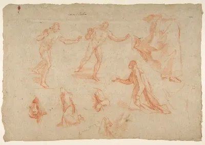 Figure and Drapery studies (recto); Three Studies of a Male Torso for the "Coronation of Marcantonio Pasqualini" (verso)