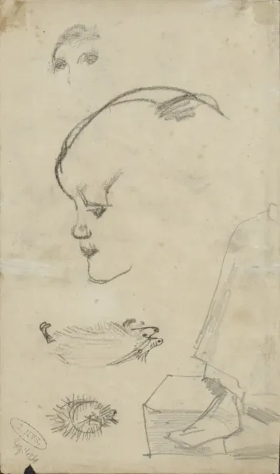 Figuur- en dierstudies
