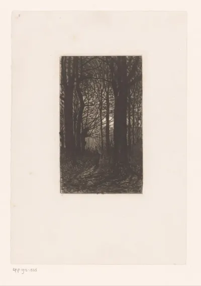 Figuur in een bos met hoge bomen